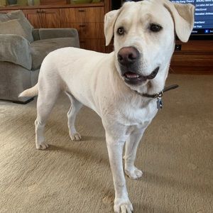 Meet your Posher, Leona